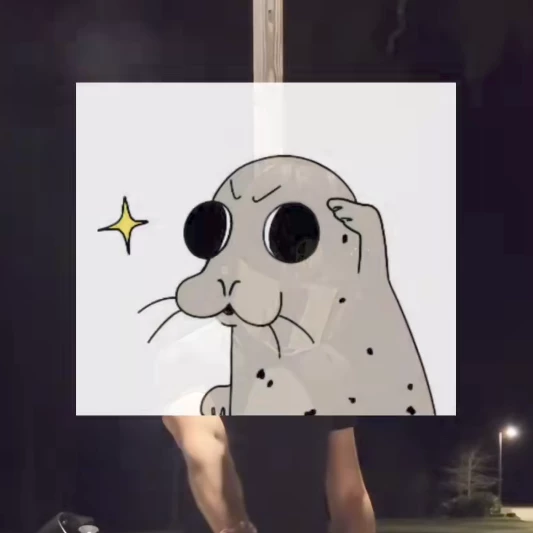 Joaco