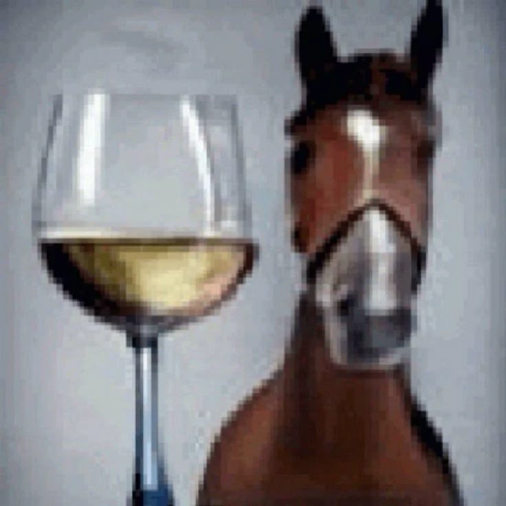 🍷🐴