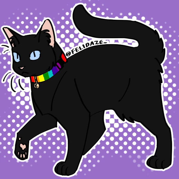 Gato preto