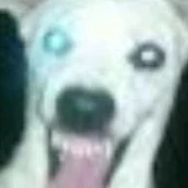 ejdjdududjjdduhdjd