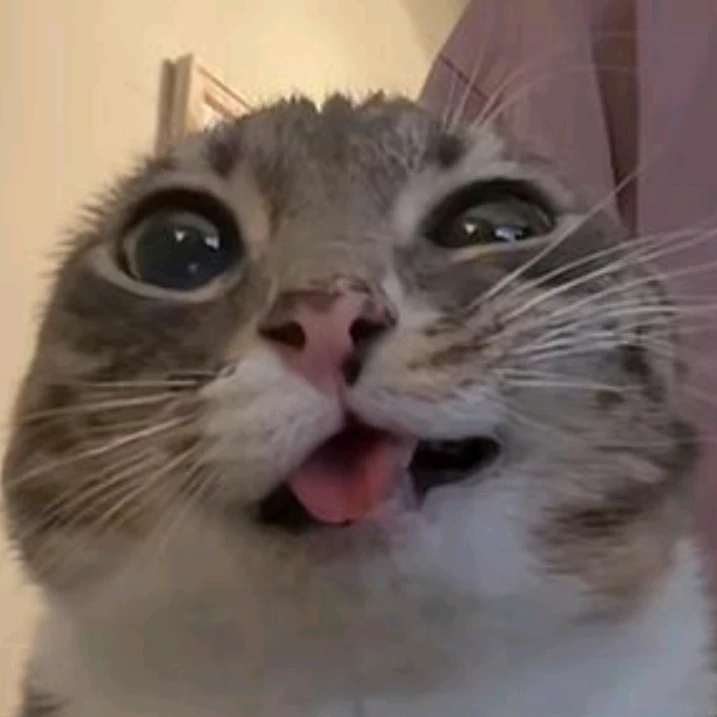 ⃟