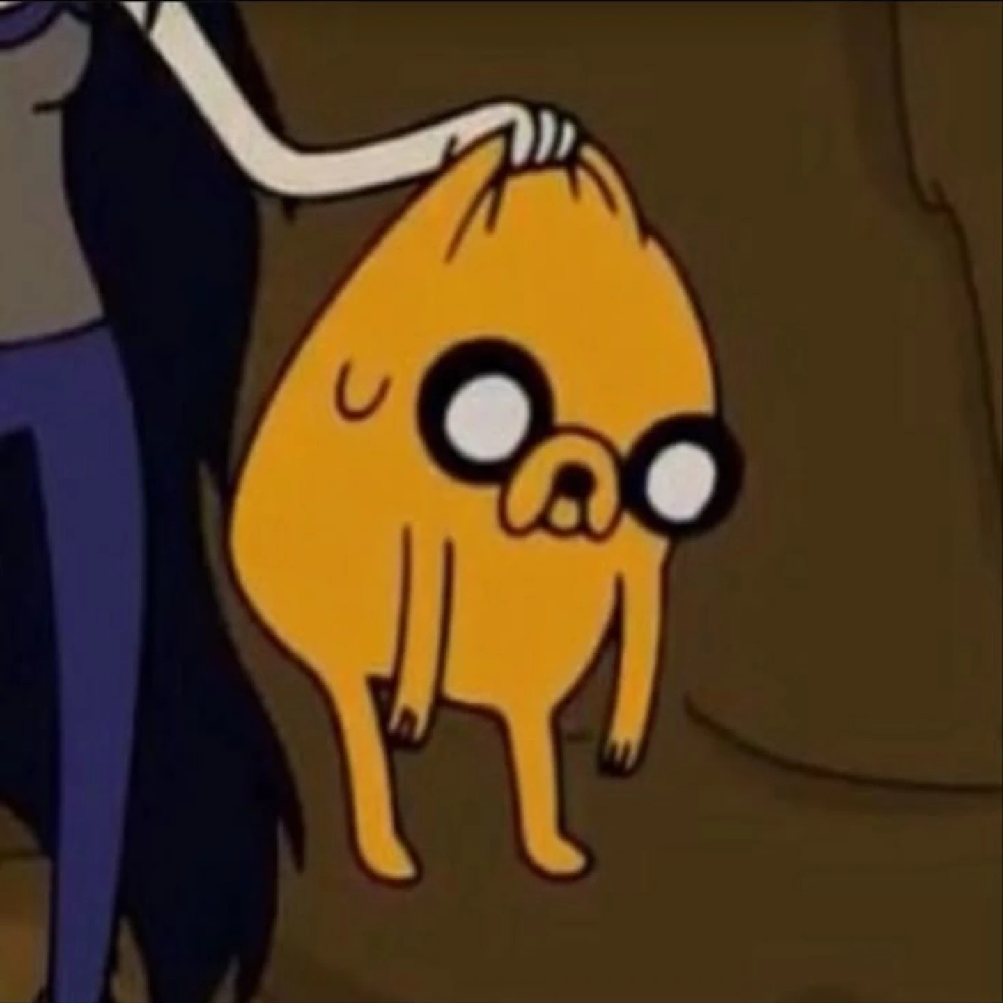 Jake 
