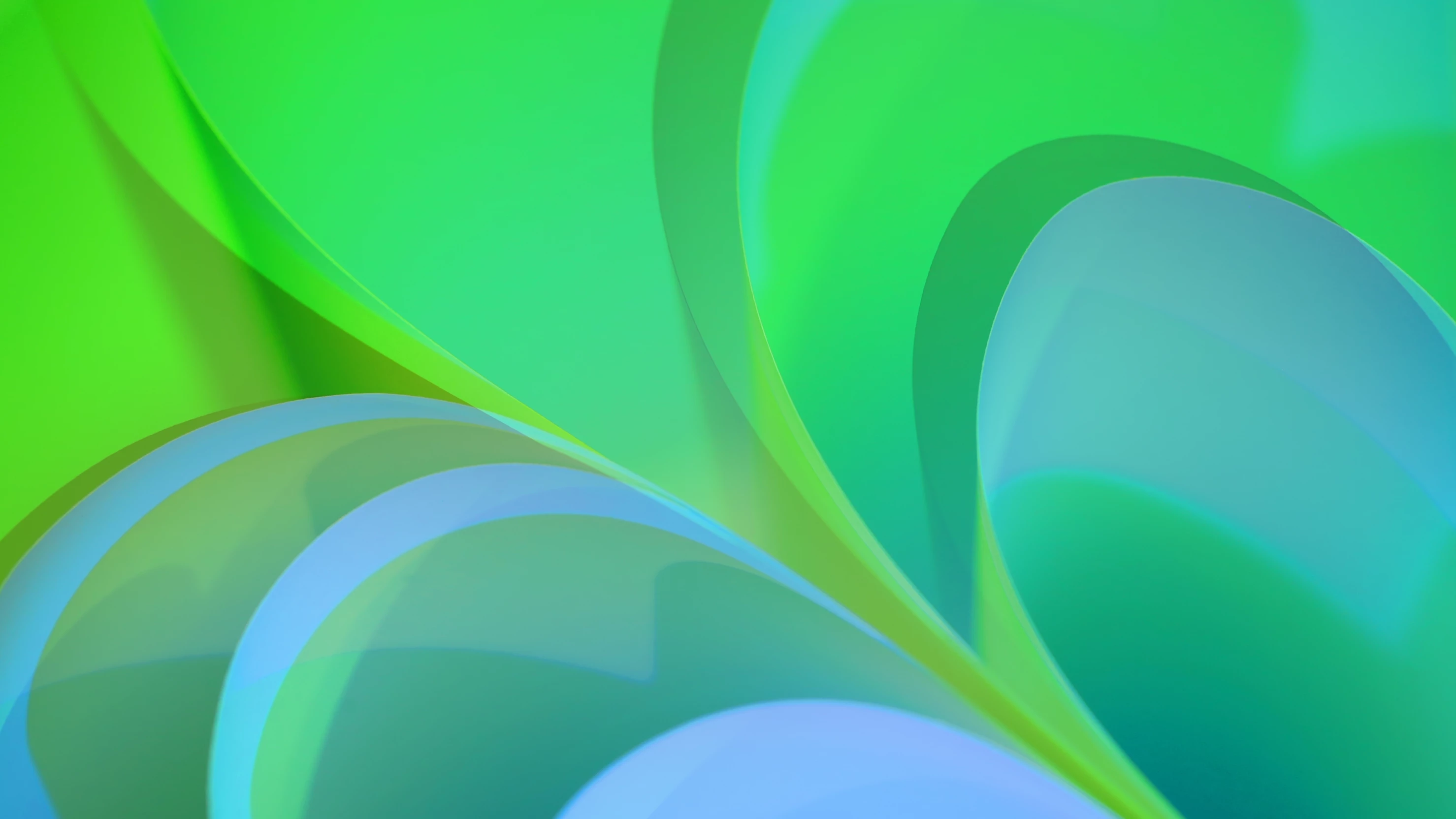 pPUI