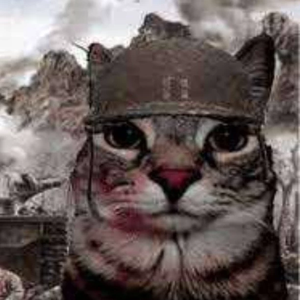 Traumatized Cat 