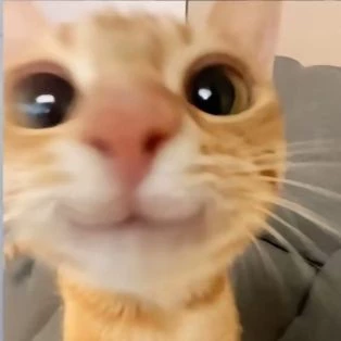 ~🎀