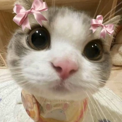 Gladys 