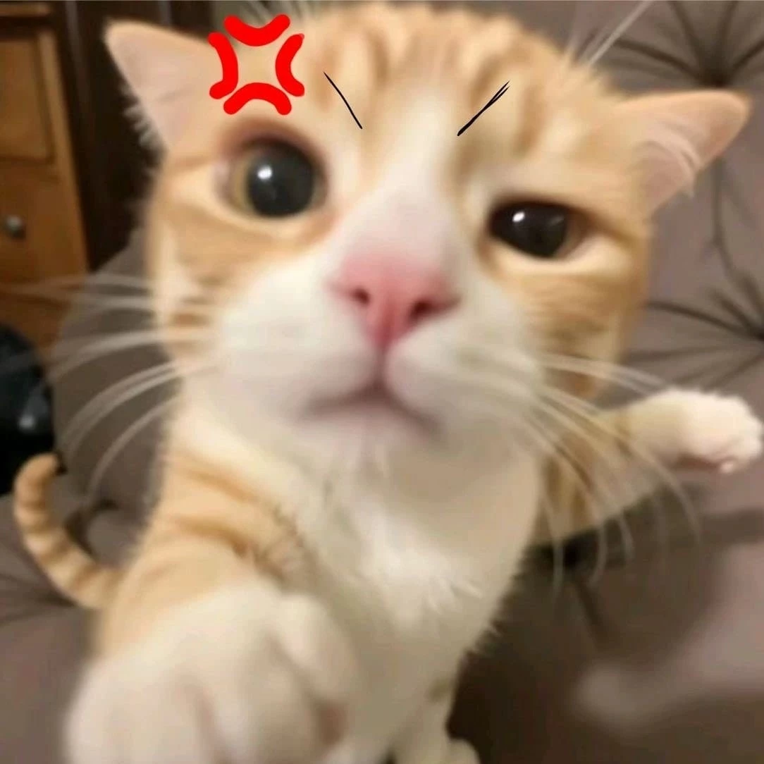 Jesse