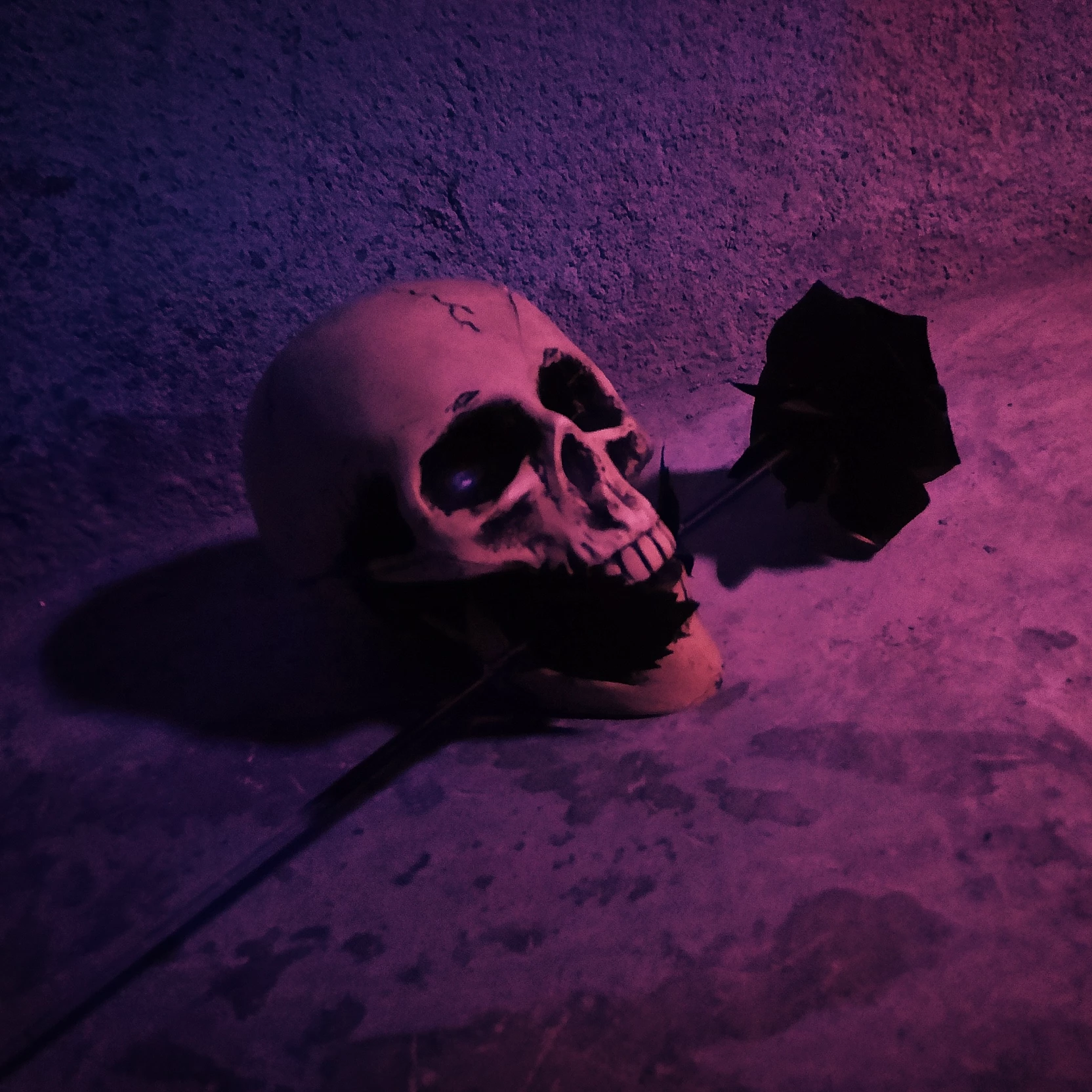 V.E