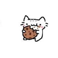 Biscuit 🍪