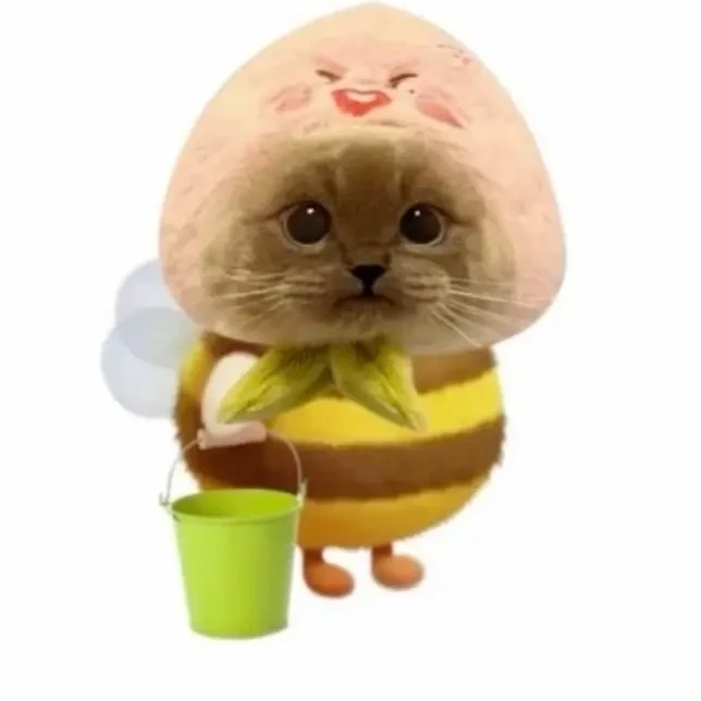 สตางค์🪽🪽