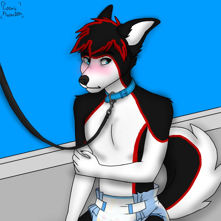 Dylan the Husky