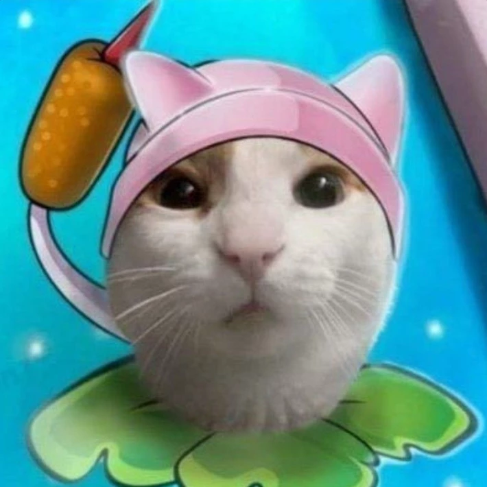 Bruh Cat