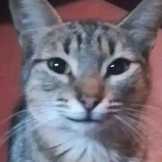 buh