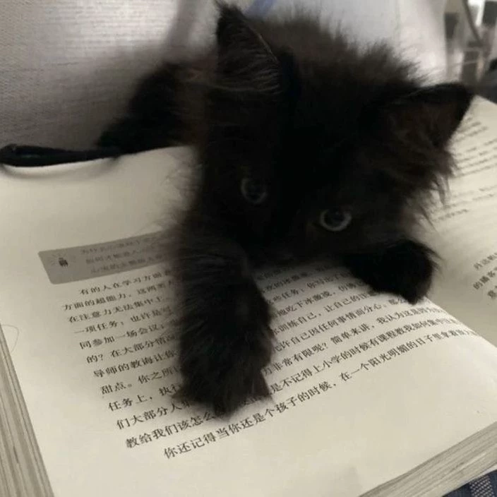 Aiko