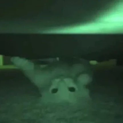 Darkisote