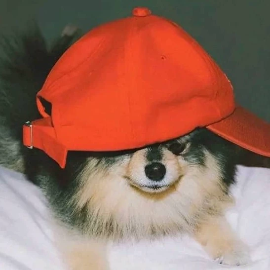 Harí 