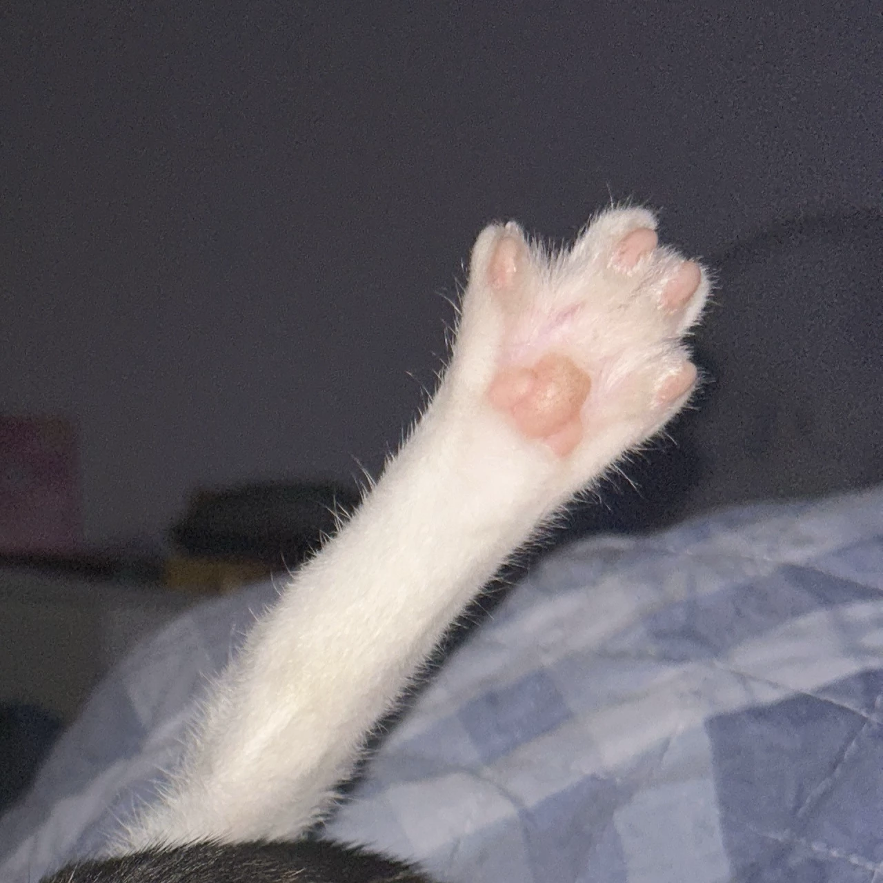 .