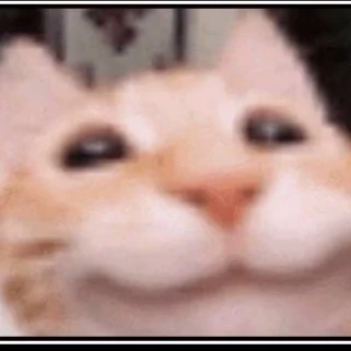 Ника
