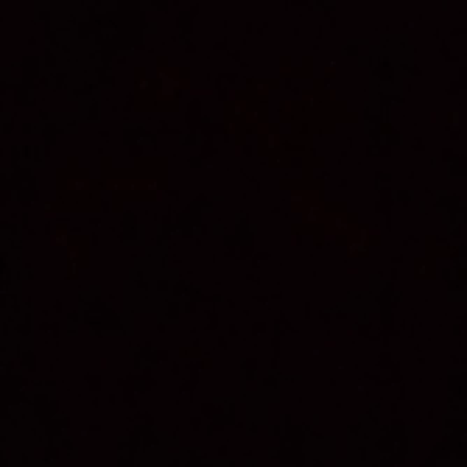 Dan