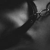 Freak on a Leash 