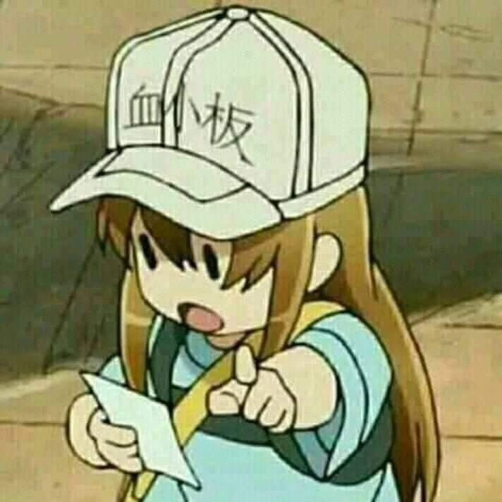 Zap