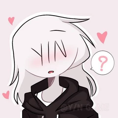 Y/N