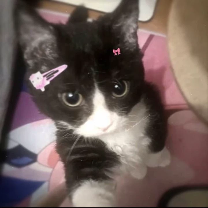 Nyra