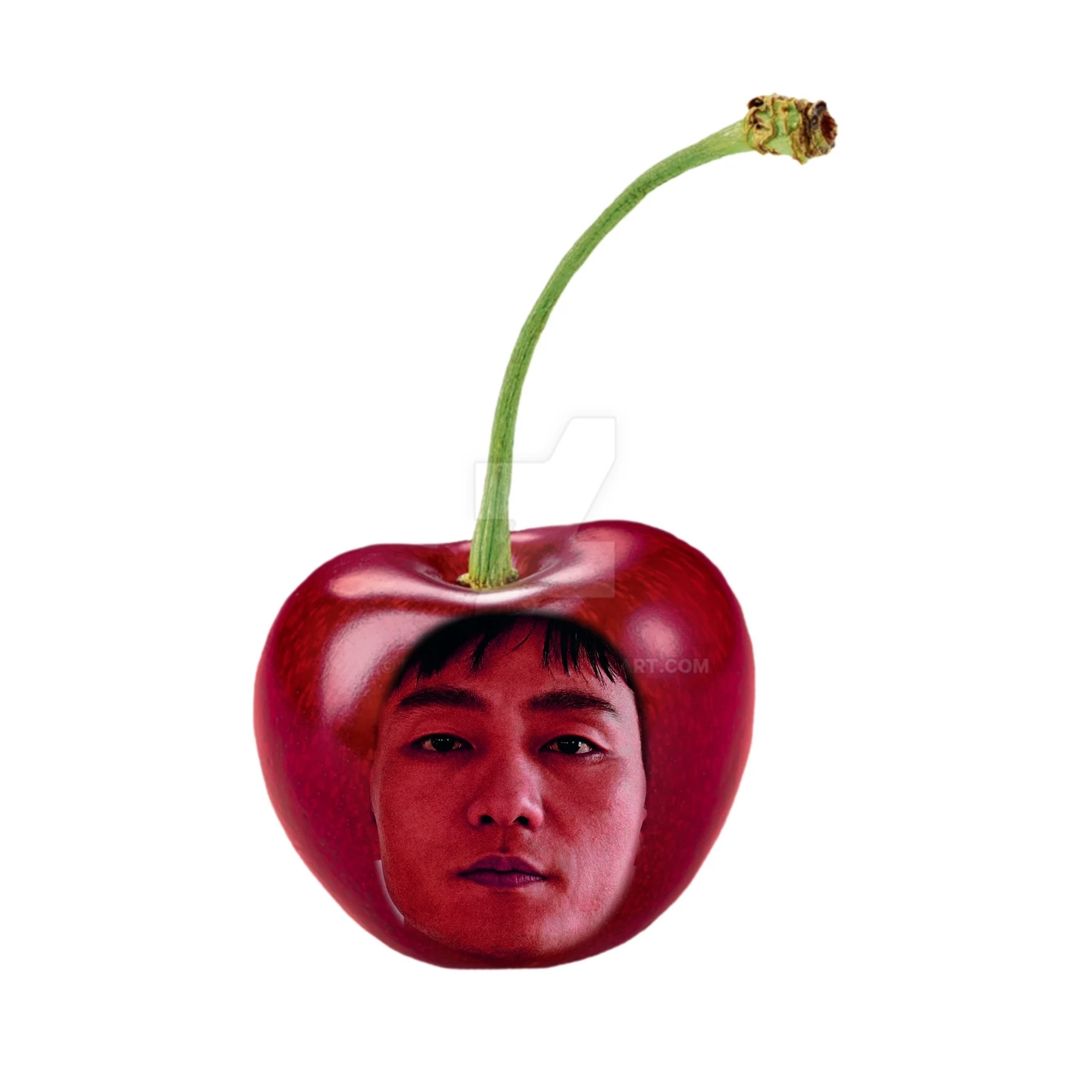 씨발!...