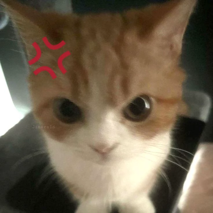 ⟡ ׄ  |  𝗡𝗂𝖼𝗄