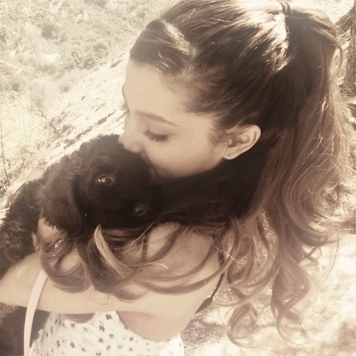 Ariana 