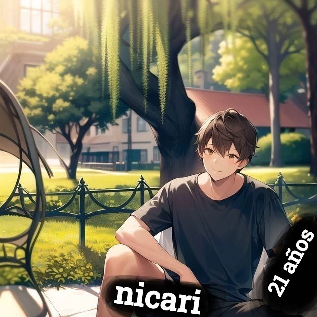 nicari26