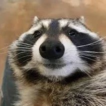 Goober