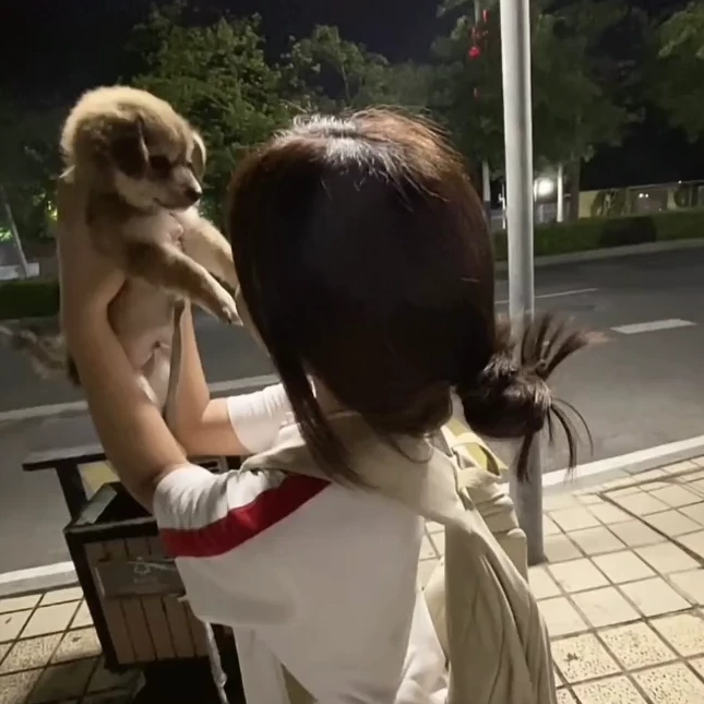 霖馨
