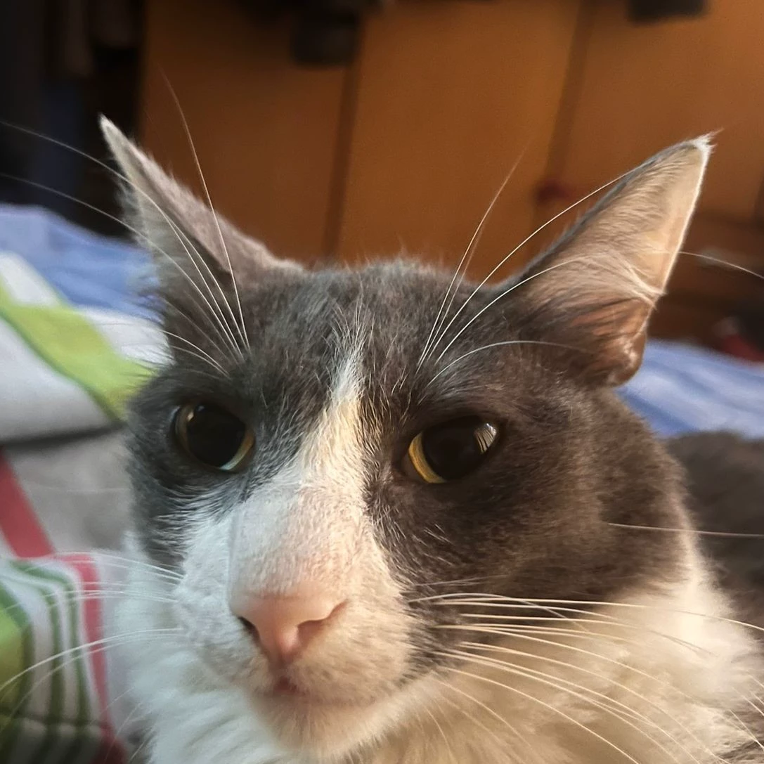 Martin 