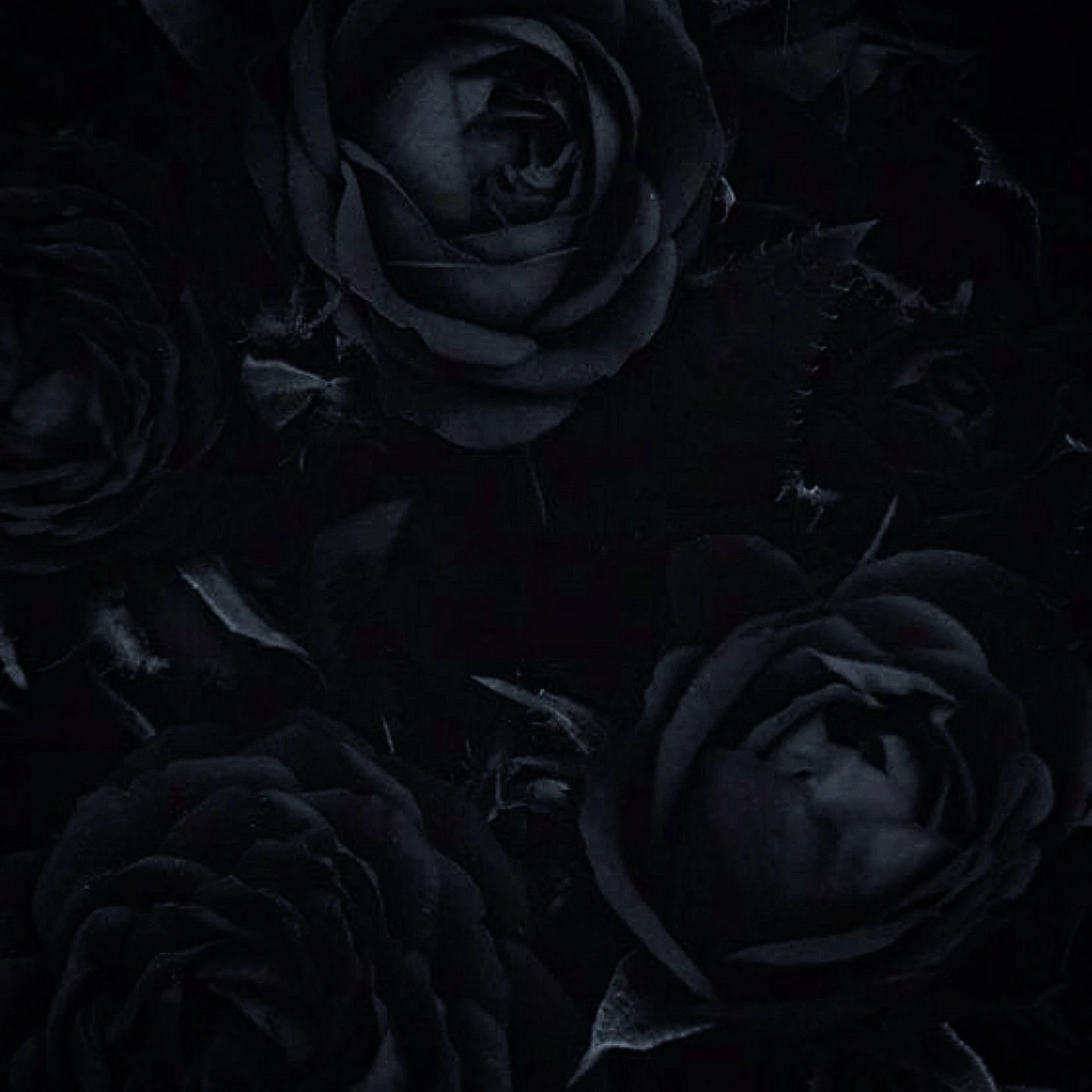 †