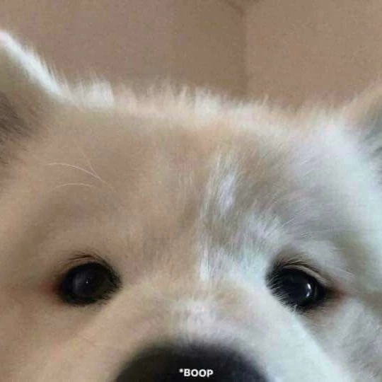 laila<3