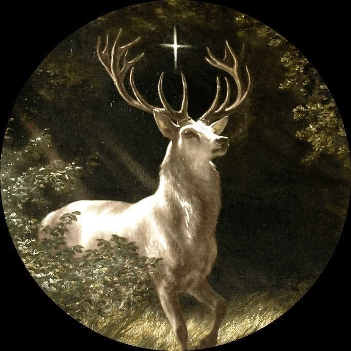 𝑂𝑙𝑖𝑣𝑒𝑟