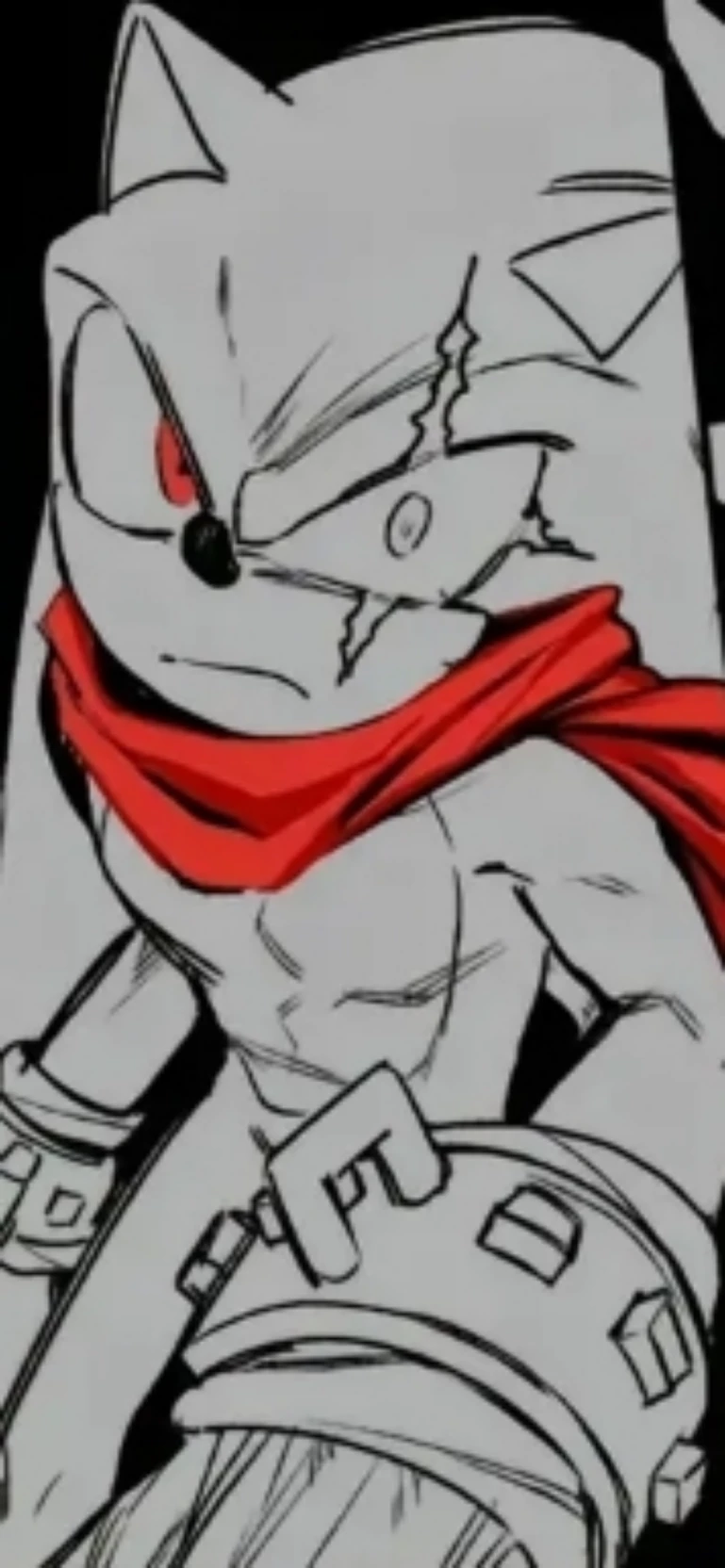 Shinzj 