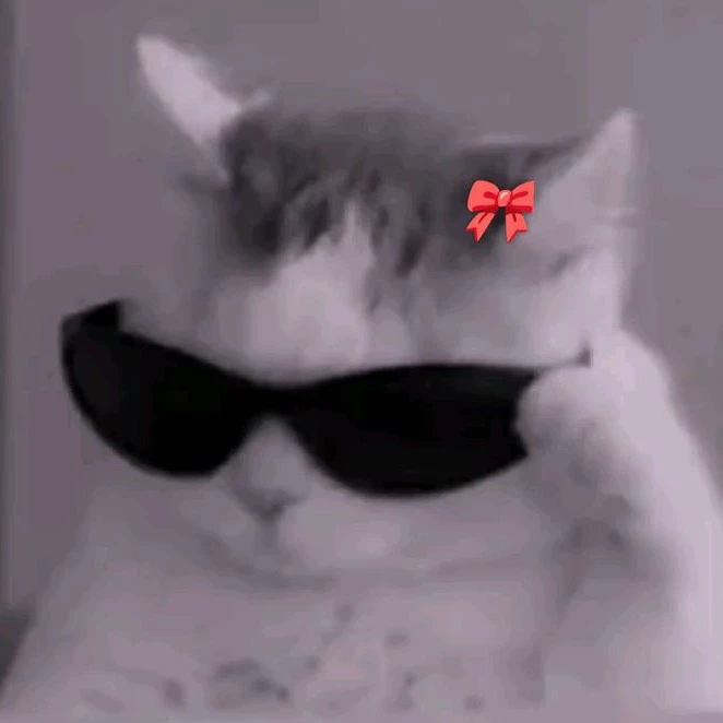 Yuki 
