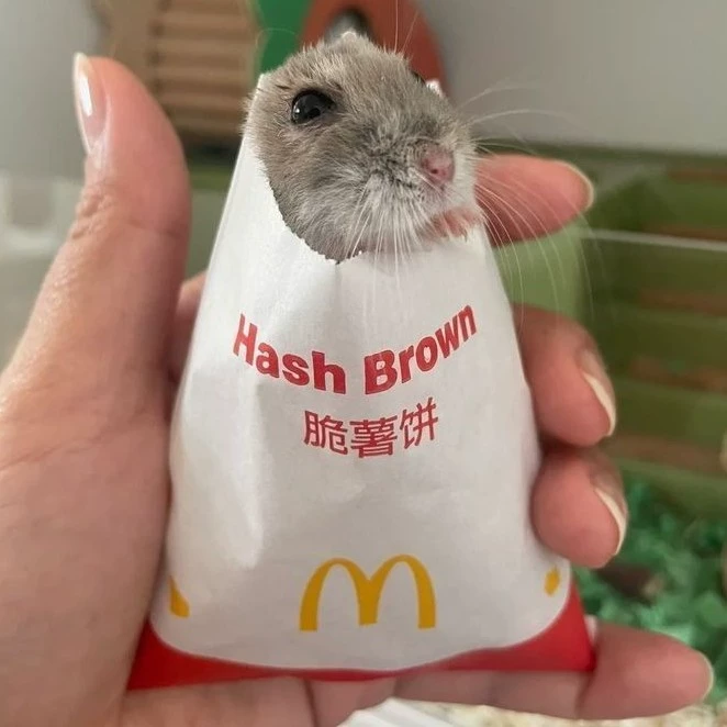 Сюся
