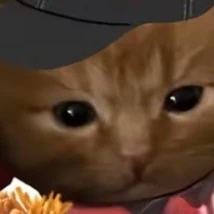Chikithan