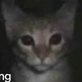 Minami 