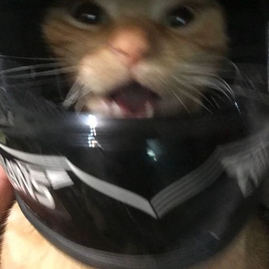 อาเรีย