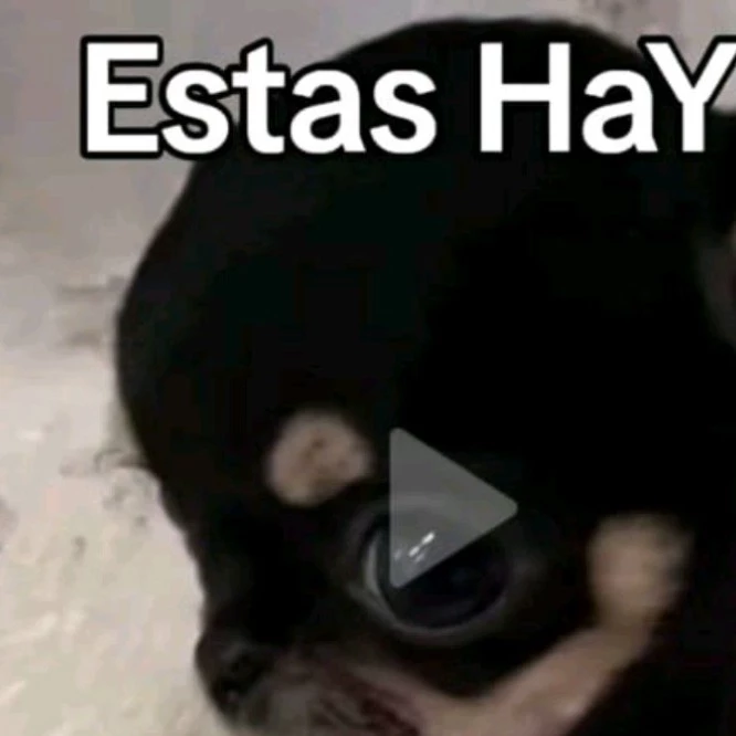 Alejandro 