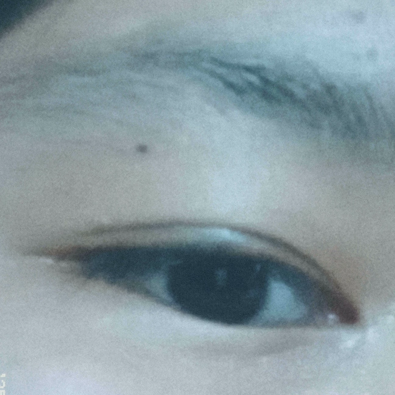 Jay-Jay 