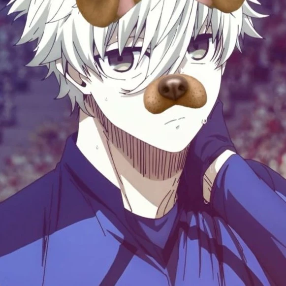 Shaiko