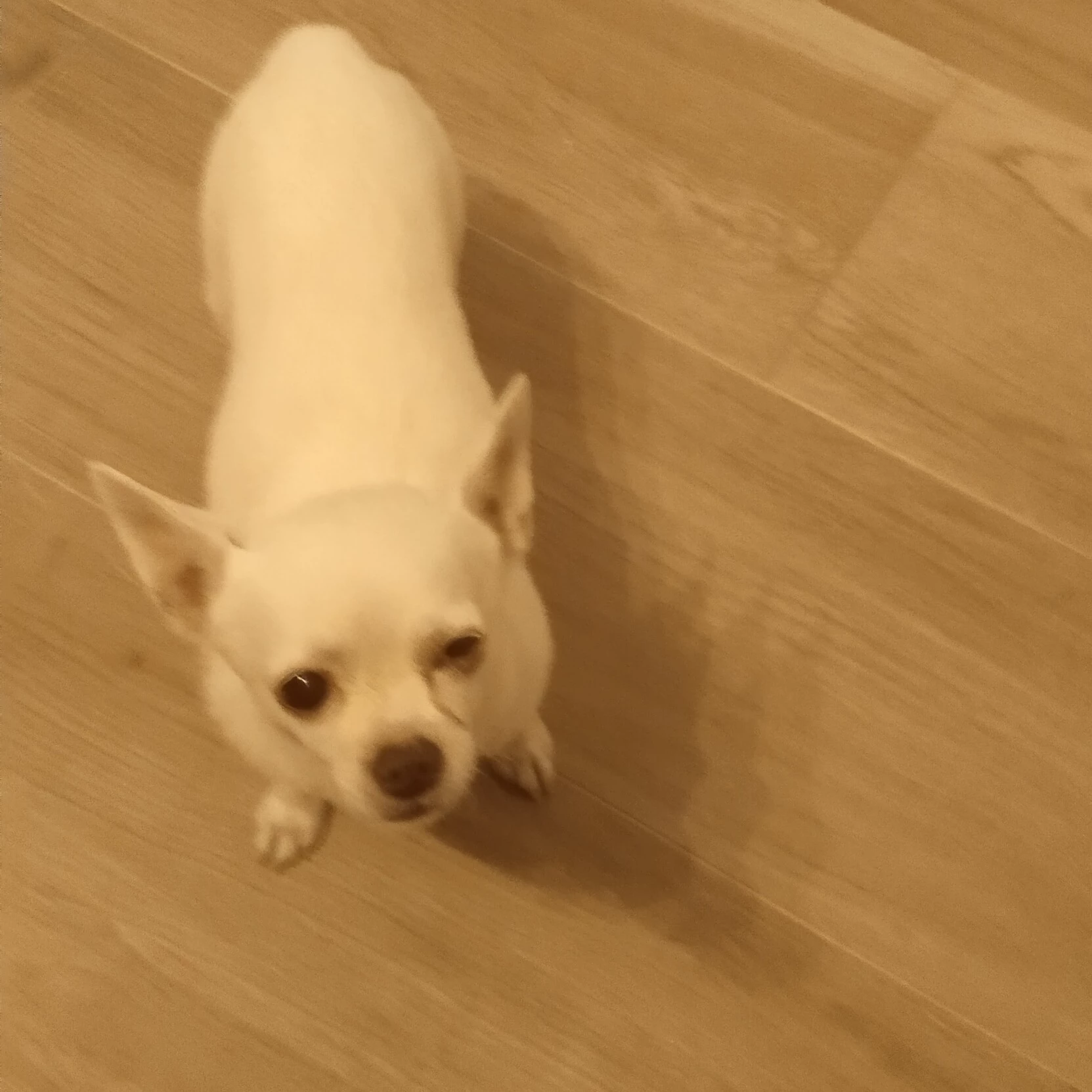 Héctor 