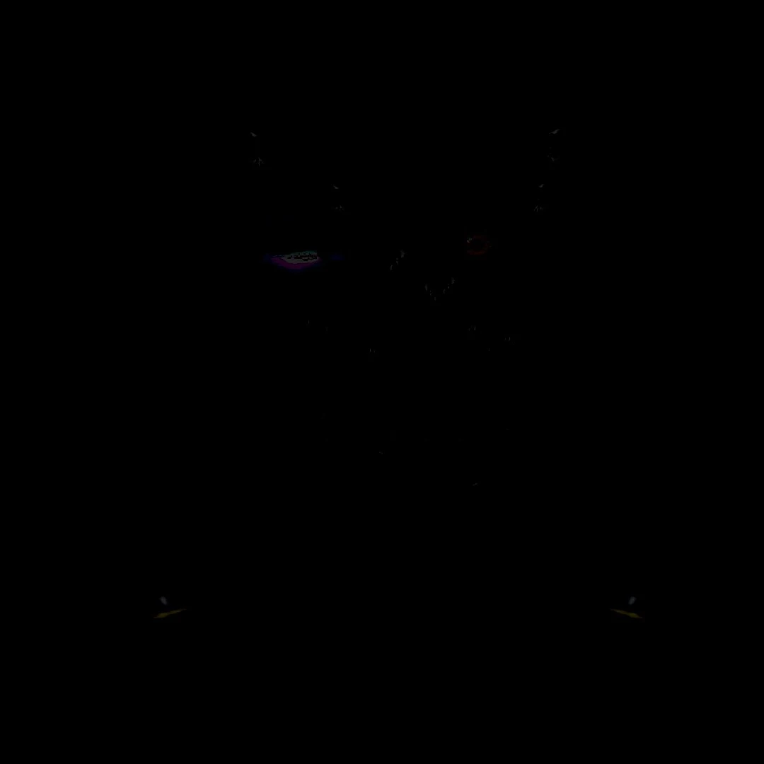 Shadow