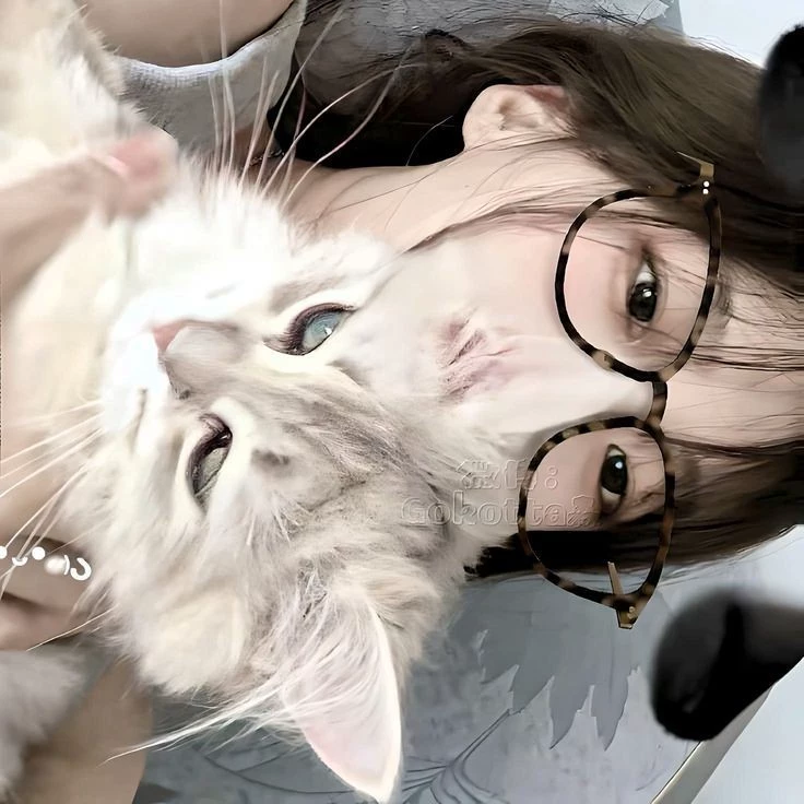 安潔莉娜·馬維奇