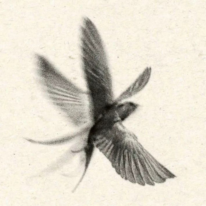 Hyacinth Delattre